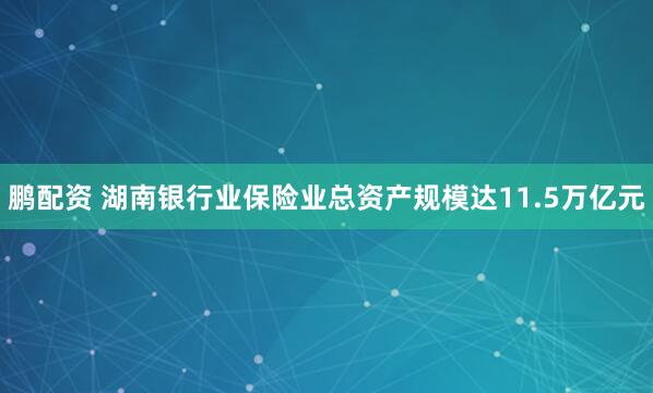 鹏配资 湖南银行业保险业总资产规模达11.5万亿元