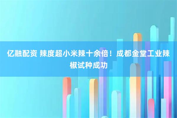 亿融配资 辣度超小米辣十余倍！成都金堂工业辣椒试种成功