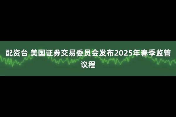配资台 美国证券交易委员会发布2025年春季监管议程