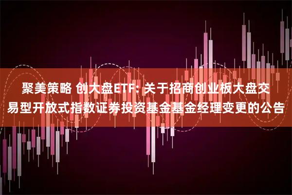 聚美策略 创大盘ETF: 关于招商创业板大盘交易型开放式指数证券投资基金基金经理变更的公告